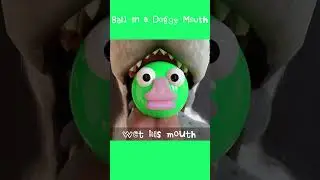 Ball in a Doggy Mouth