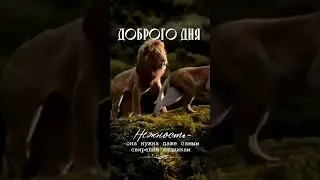 нежность