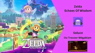Trouver Echoe Megablam Ascenseur en Pierre Monstre Zelda Echoes Of Wisdom