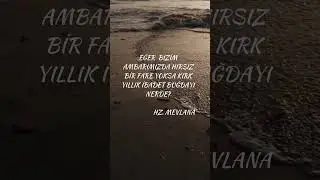 MEVLANA - MESNEVİDEN SEÇMELER  (KIRK YILLIK İBADET BUĞDAYI)