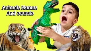 Best way to learn Farm and Wild Animals names and sounds آموزش حیوانات به انگلیسی برای کودکان