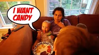 Healthy Family Meal Ideas... 1 and 3 Year Old