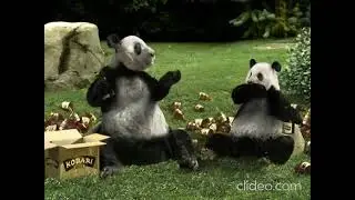 Panda Express Kobari Beef Commercial (2010) Reversed