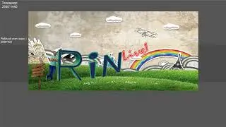 Прямая трансляция пользователя RiN Live