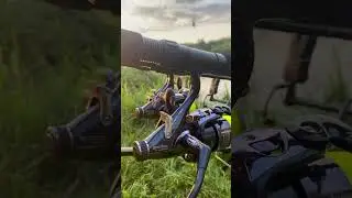 Рыбалка на карпа