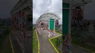 Кресты растут из земли! Туровское чудо