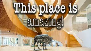 Photographing Calgary 's Central Library