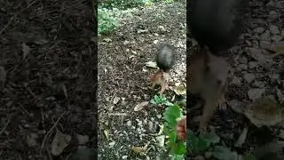 Видели такое чудо?!Так близко? Жаль не было угощения.