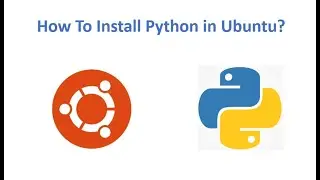 How To Install Python and  Pip in Ubuntu?