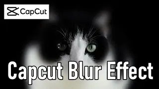 Add Blur Effect in Capcut PC and Mobile Version