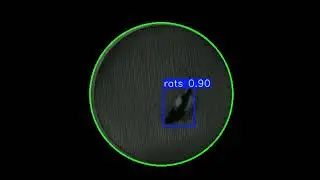 APA Detecting Rats with a modified yolov8 net
