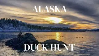 Alaska Duck Hunt!