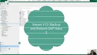 Veeam V12 -Backup and Recover SAP Hana