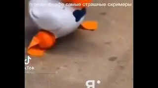 ааааа