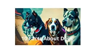 10 Facts About Dogs