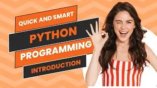 From Novice to Pro How I Mastered Python Programming