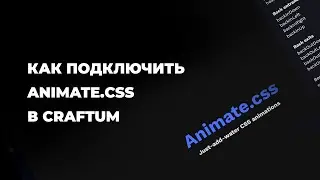 Как подключить Animate css в Craftum