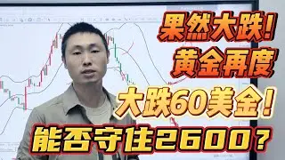 果然大跌！黄金再度大跌60美金！能否守住2600？【外汇交易策略】