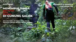 solo hiking discover waterfalls over old bridges and relax in hammocks