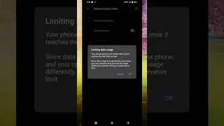 All Data Limit and Data Warning Settings on Vivo Mobile Phones