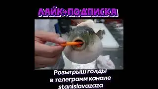 ЭТО ЧИТЫ ИЛИ МАГИЯ STANDOFF 2 / СТАНДОФФ 2