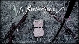 MeesterGeest - the Movie