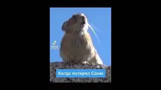 Тик Ток:Когда потерял Саню😂😂