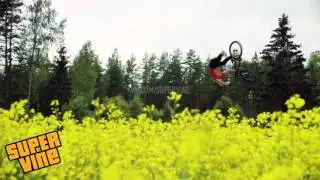 красиво Super Vine