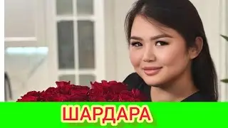 ШАРДАРА