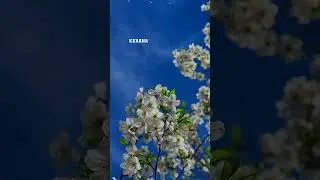 Dihargai atau Tidak