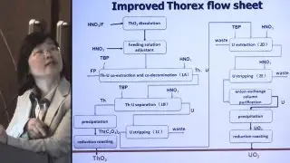Li Qingnuan - Thorium Molten Salt Reactor (TMSR) Fuel Processing/Reprocessing @ ThEC12