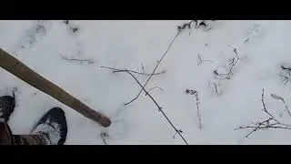 9 ноября 2024 г.