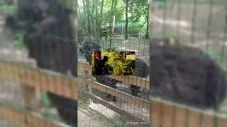 Путешествие по дендропарку