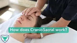 SFH Massage Training | How does CranioSacral work?