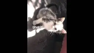 Котик💔❤️