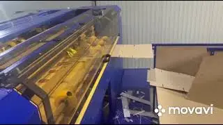Boxmaker with auto feeding, width 2200mm, all options. Email: a.yasynsky@gmail.com, yasinsky@ukr.net