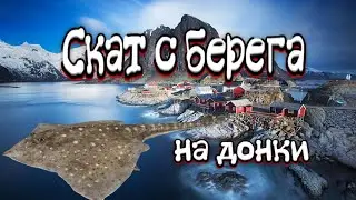 РР4 | Скат с берега | на донки | Норвежское море|