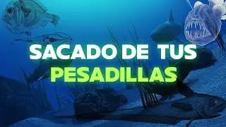 8 Animales de las profundidades del mar 🐡 | Criaturas abisales
