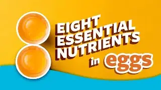 8 Essential Nutrients in Eggs | Ask Organic Valley