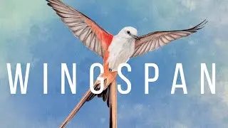 Wingspan (Original Soundtrack)