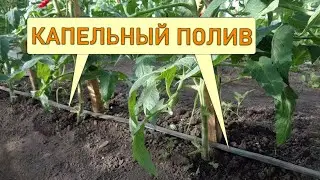 Система Капельного Полива Для Огорода