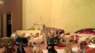 Lps:Новый гость и айс бакинг челленжд))))