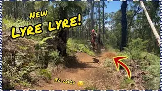 THE NEW Lyre Lyre // Silvan MTB trails!