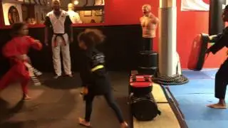 PRACTICING THE LIU KANG KICK