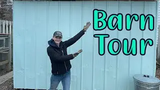 Whiskey Tango Farms Barn Tour | What Our Small Quail Farm Looks Like