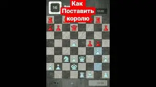 КАК ПОСТАВИТЬ МАТ КОРОЛЮ ♟️