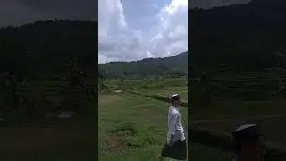 bukit d