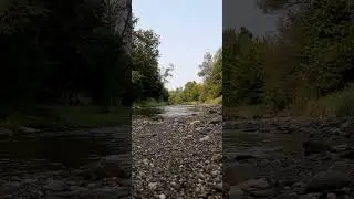 Tranquil Morning Stream