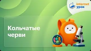 Кольчатые черви. Видеоурок по биологии 7 класс
