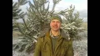 Медведь и пчела. Басня с матом
